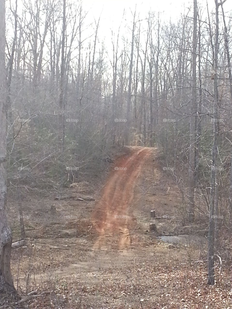 dirt road. way of life
