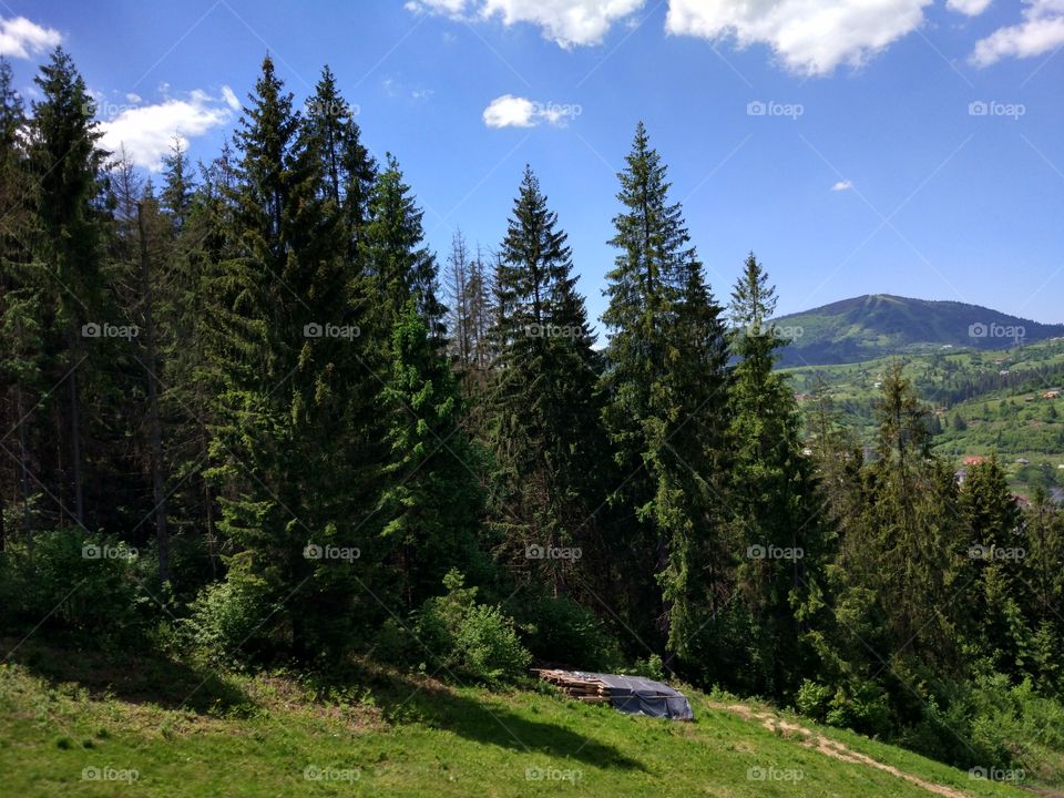 Carpathian mountains landscape