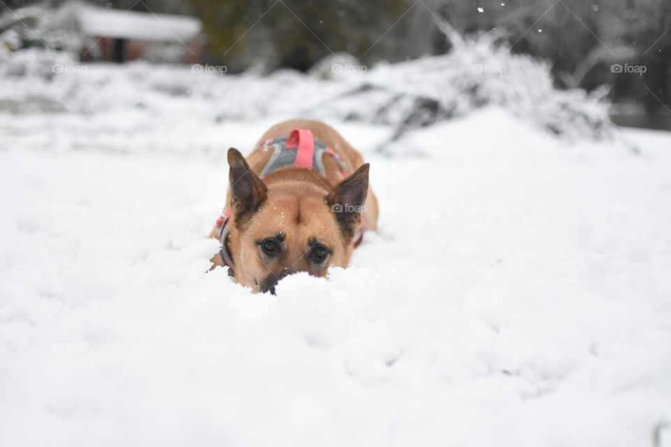 She loves the snow!