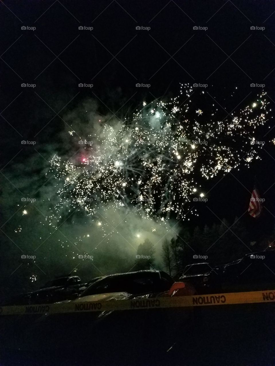 fireworks in the summer night sky