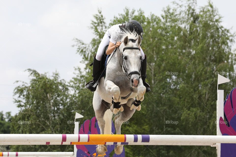 Horse and rider jumping on show jumping competition