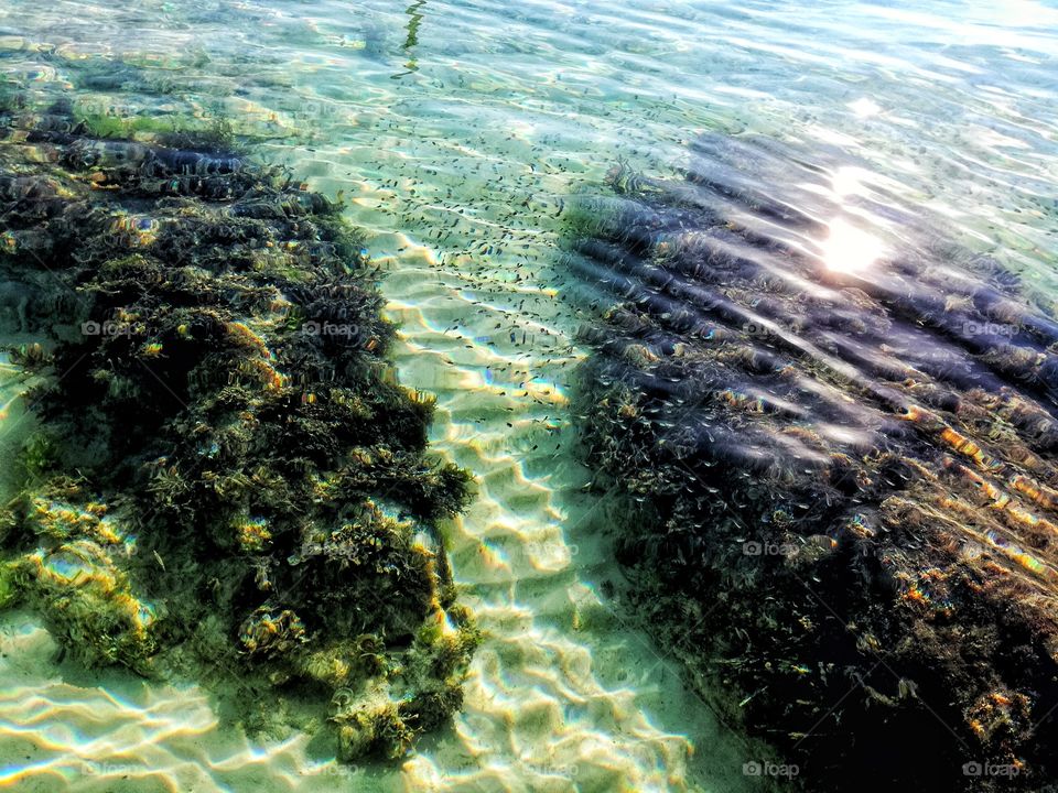 "Sooner or later, we will have to recognise that the Earth has rights, too, to live without pollution. What mankind must know is that human beings cannot live without Mother Earth, but the planet can live without humans."
-Evo Morales