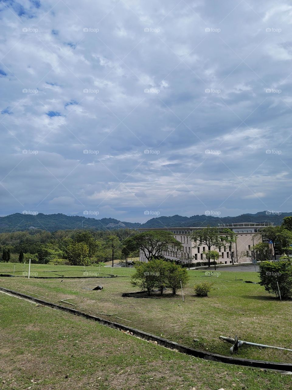 Grass and buildings on a university campus.