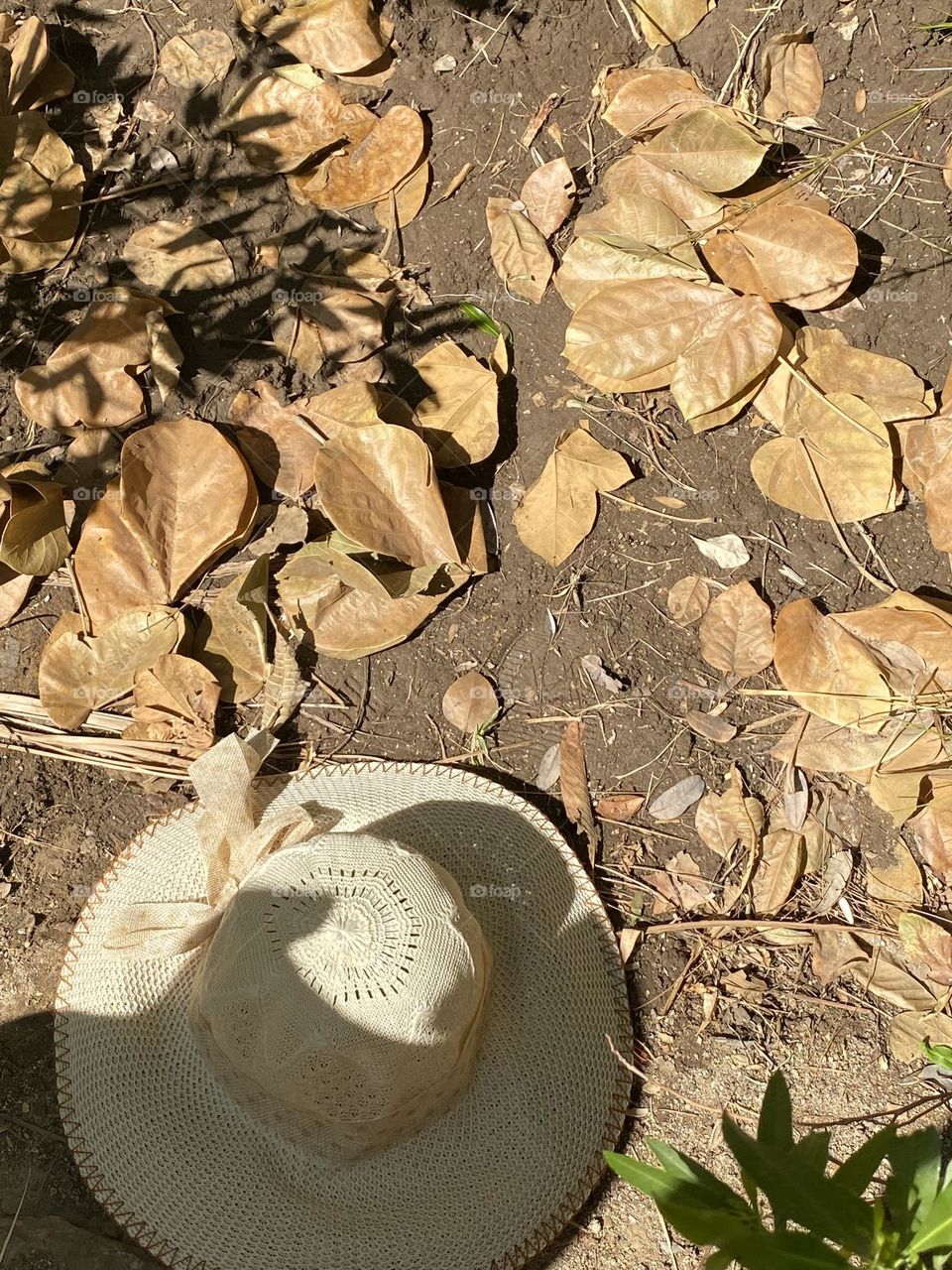 A day out to enjoy the lovely weather 