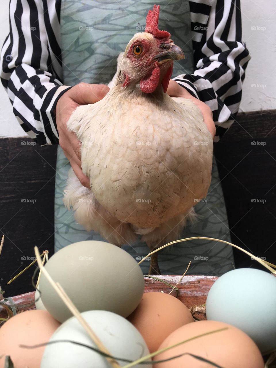 Eggs. 