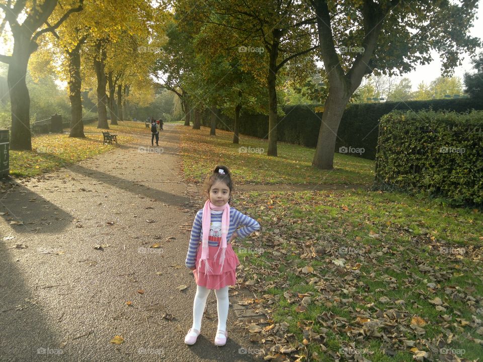 Bute park 