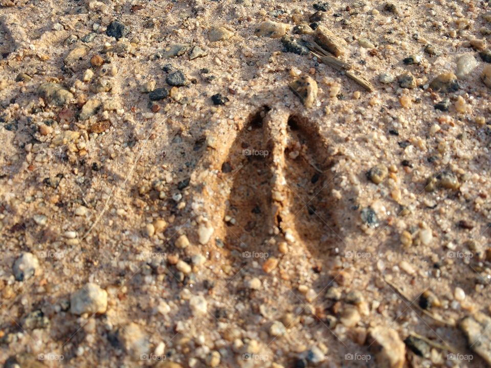 Sand, Beach, Desktop, Texture, Earth Surface