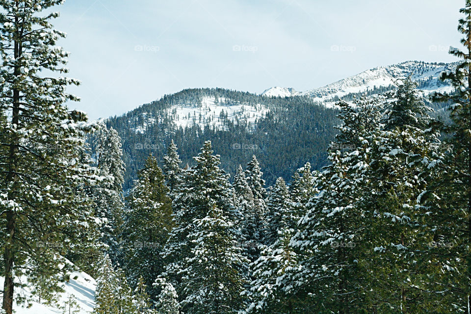 Winter mountain landscape 