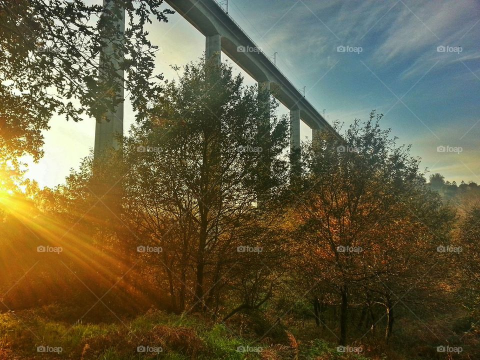 Autumn Bridge