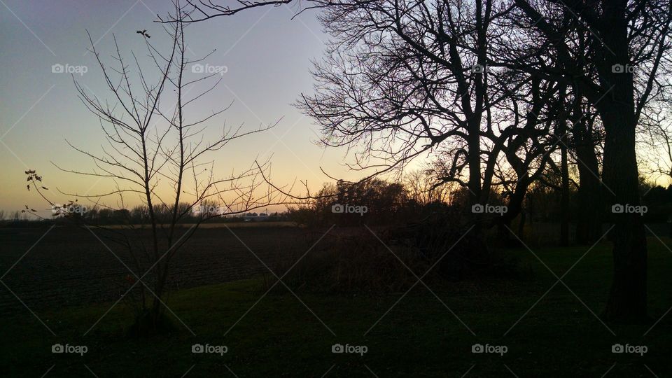 Landscape, Tree, Dawn, Nature, Fog