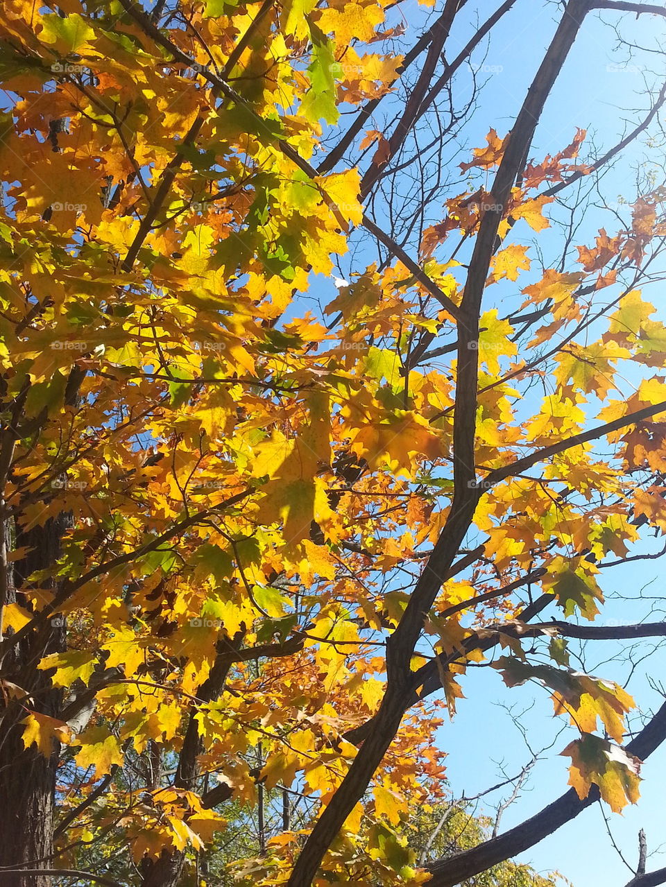 what a pretty October day