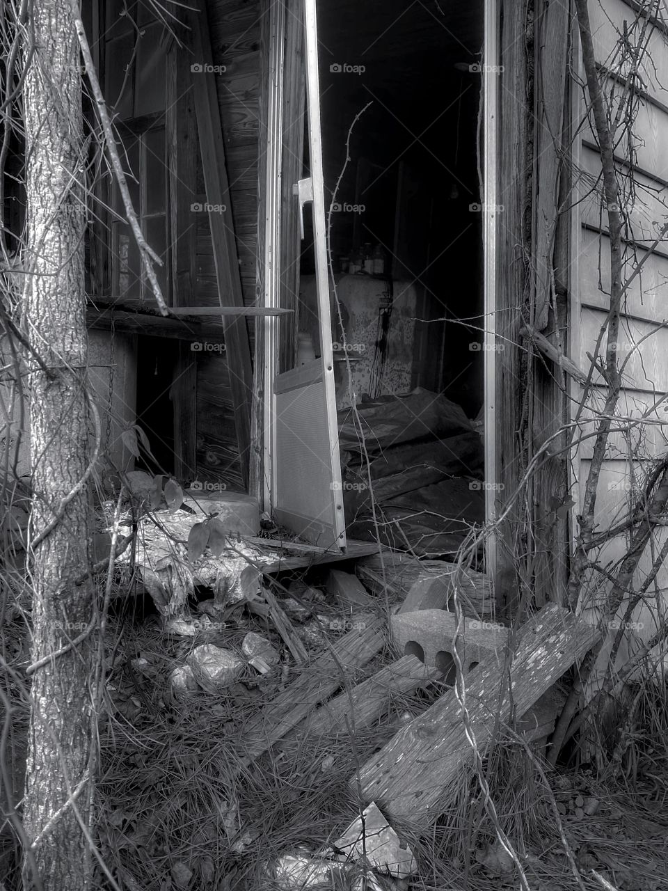 Her openness led to her downfall...