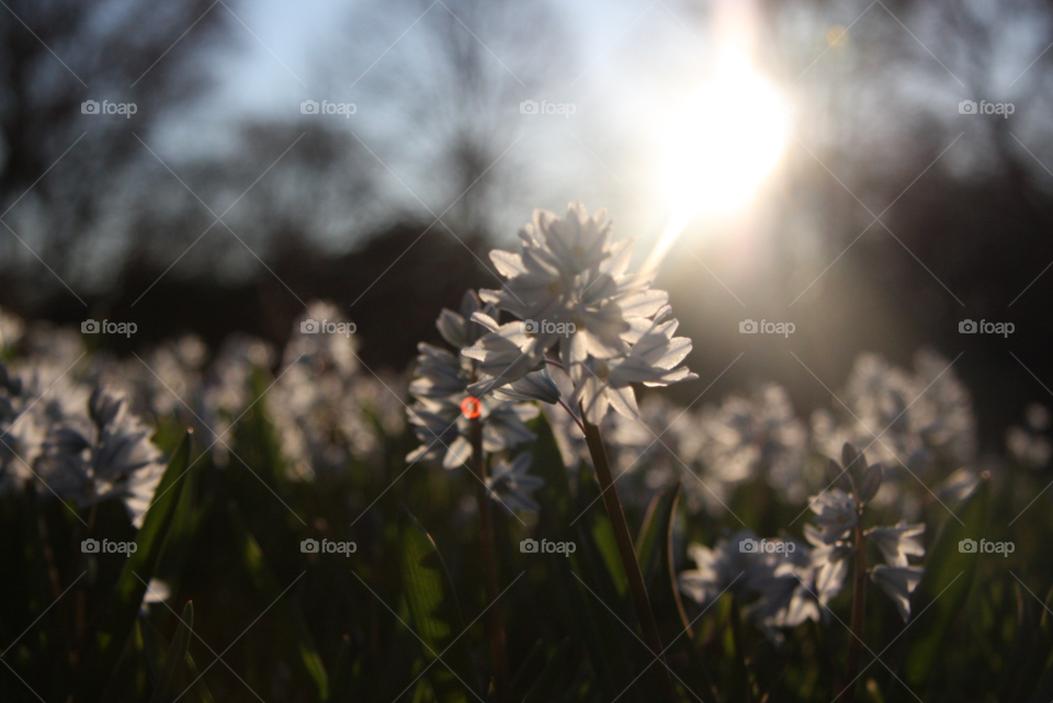 In the sunshine