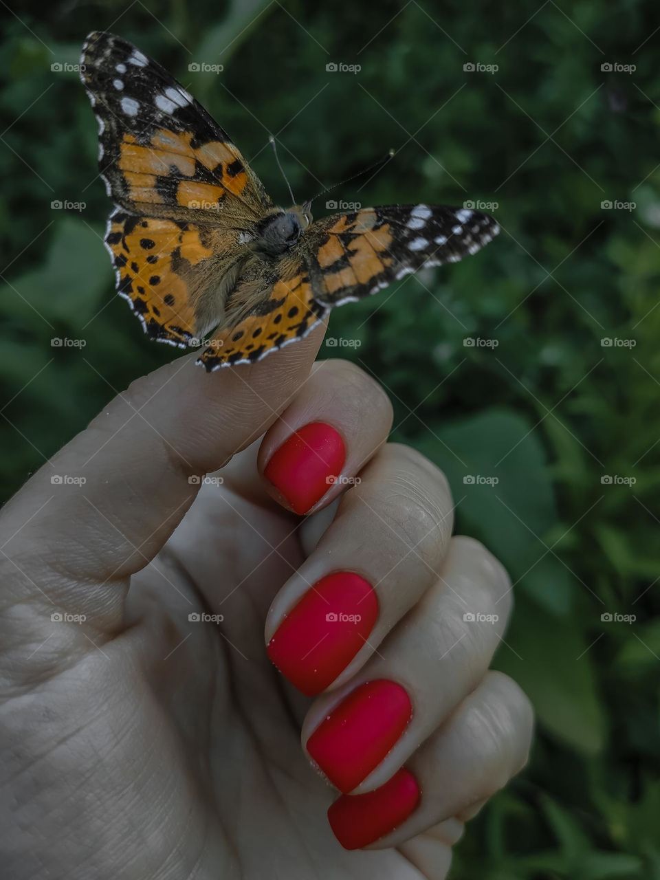 butterfly sitting on the girl hand