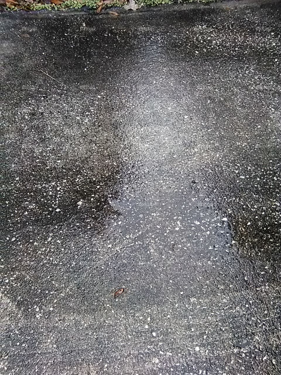 wet driveway