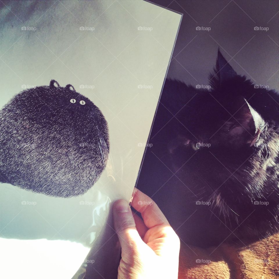 Self Portrait. My cousin sent me a drawing that looks like my cat Selina. Selina is not impressed.