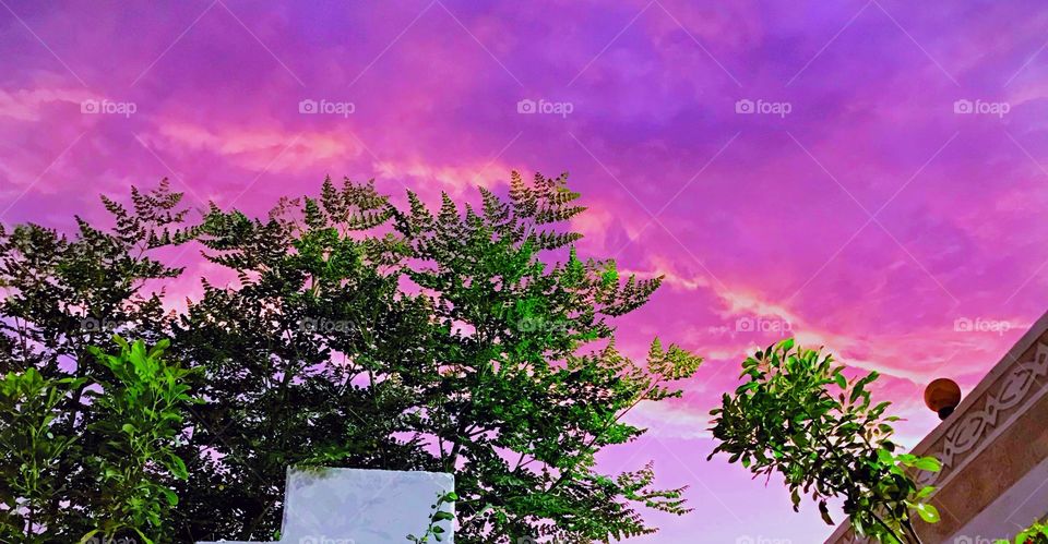 Purple sunset 