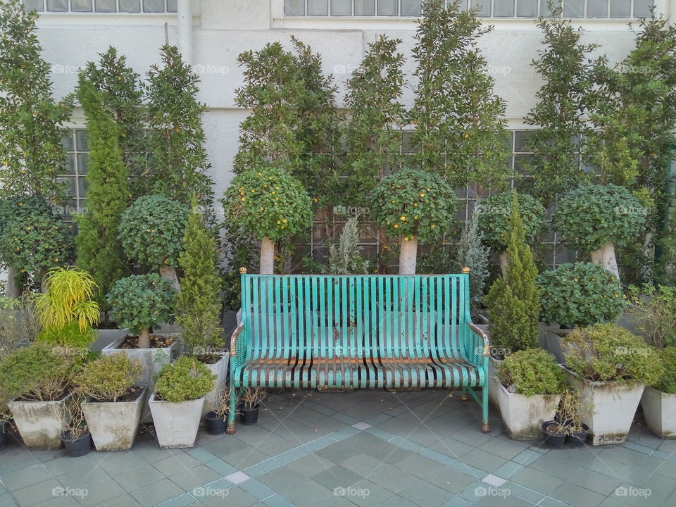 old green curve chair among decorative green plant
