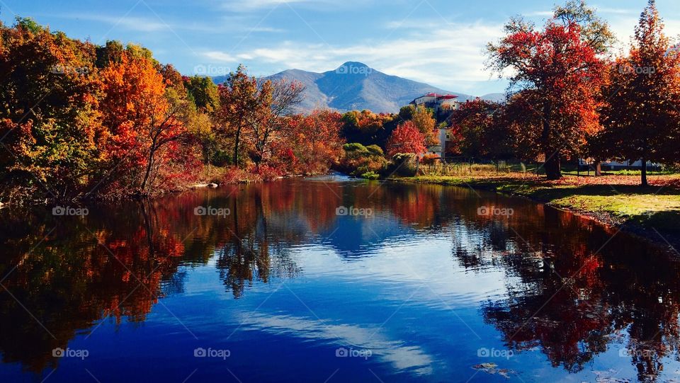 Autumn reflection in lake