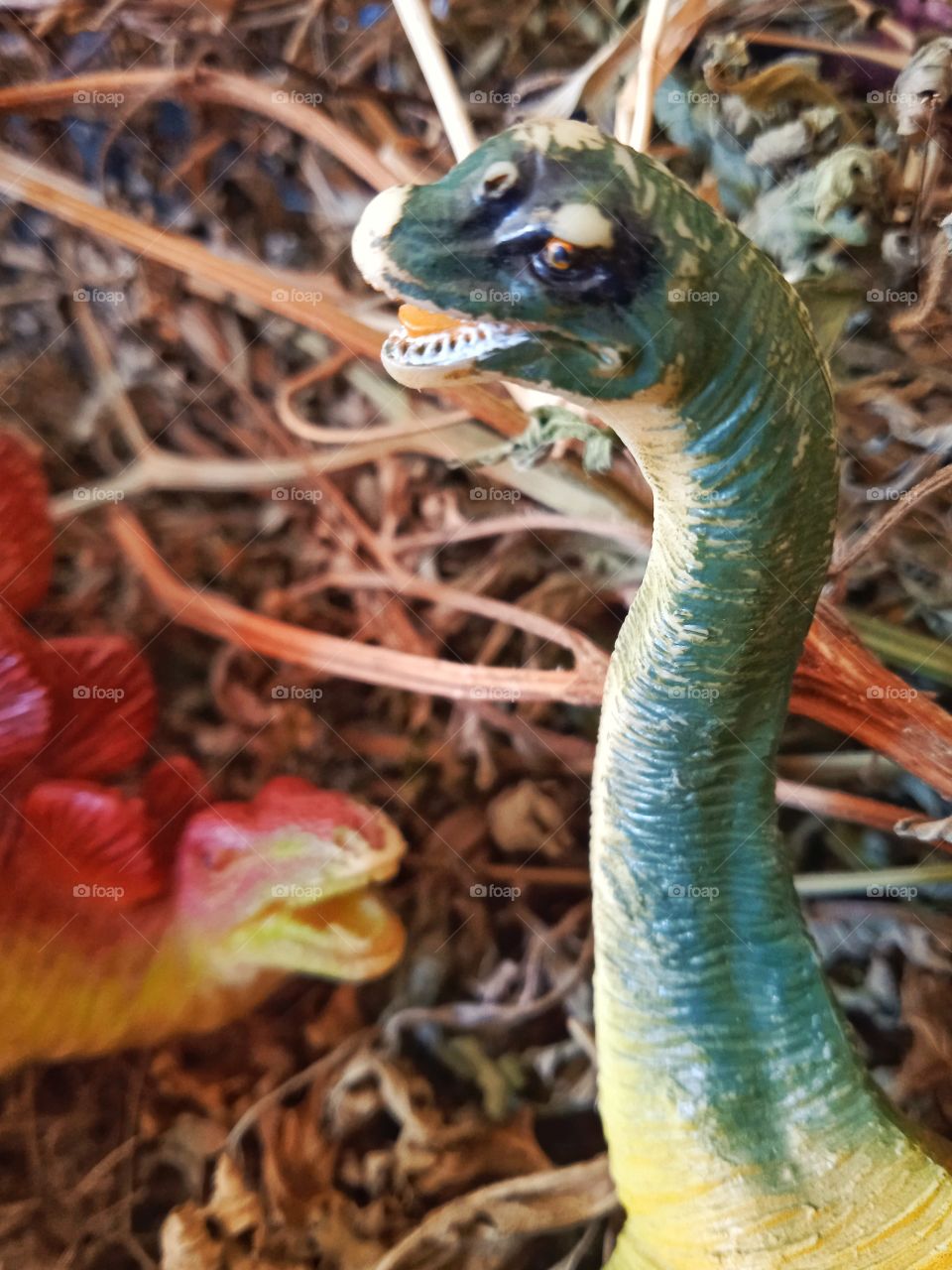 apatosaurus+ stegosaurus