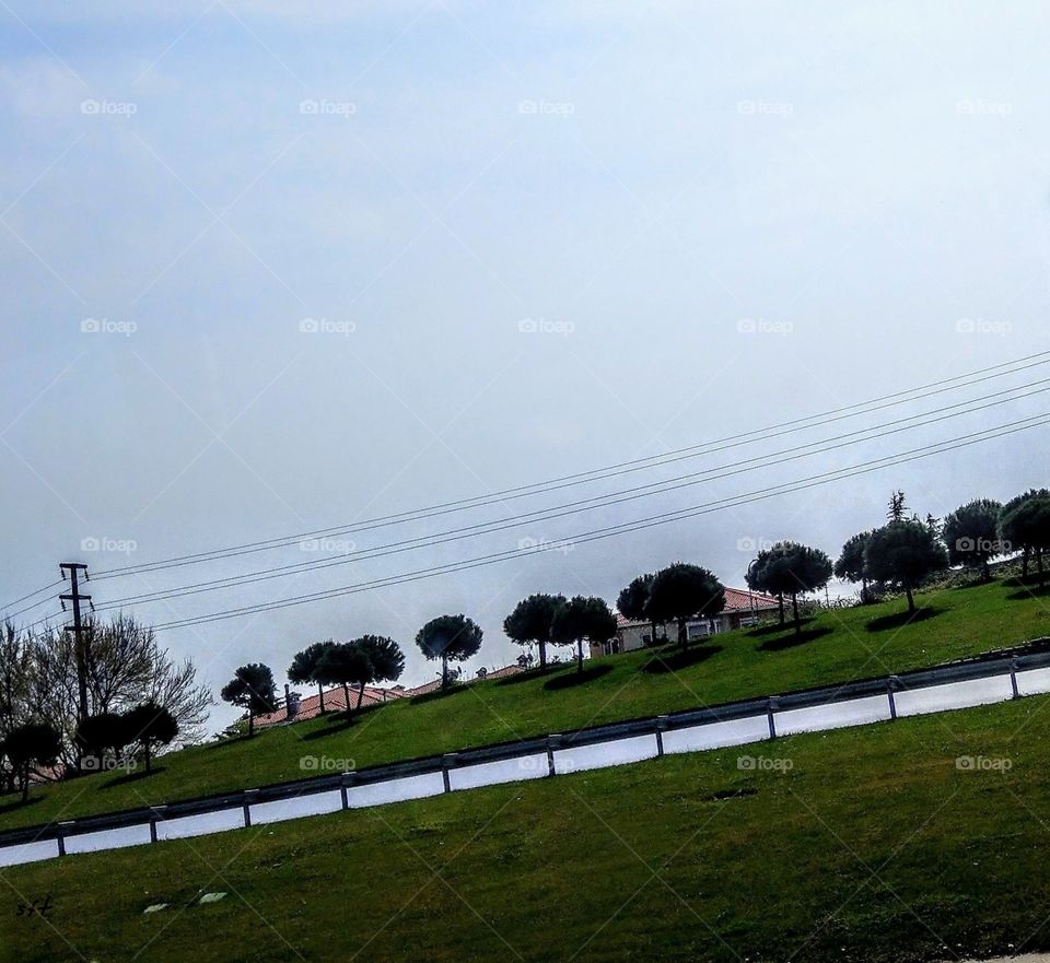 The line beauty of the road and trees. green and blue colors are very comfortable.