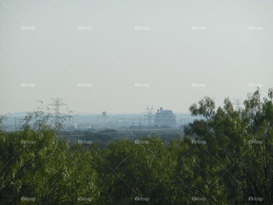 bird 👀 4. This is a picture I took while standing on a hill. 👣 🚶 🏃 🔥 💨