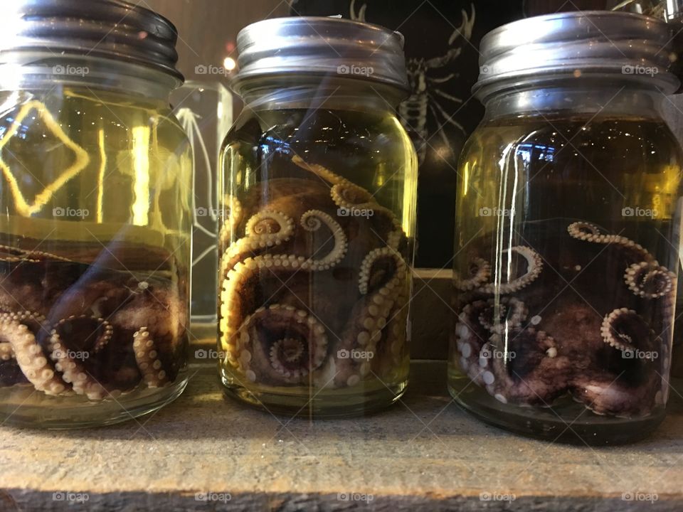 Octopuses in glass jars of liquid