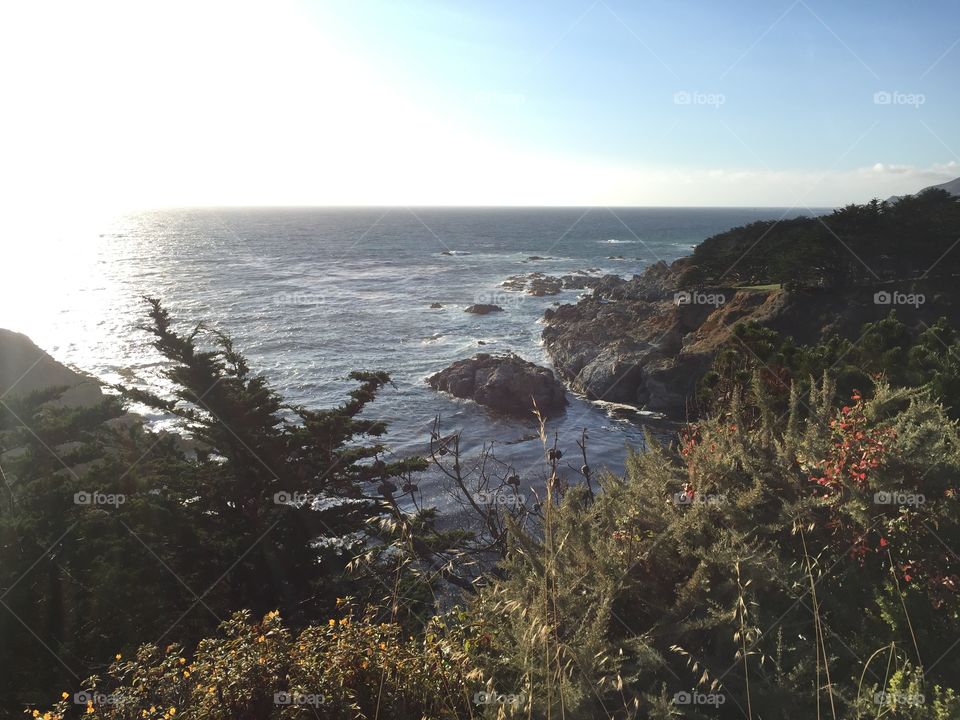 Cliff Overlook. Taken near Big Sur