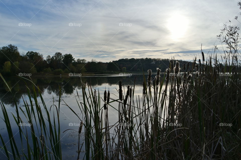 Mammoth Lake Mt Pleasant, PA