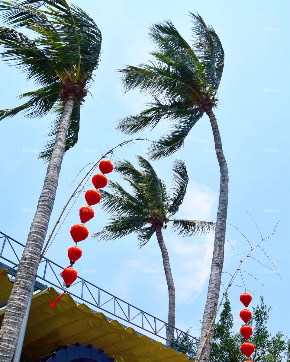 Hoi An Vietnam 