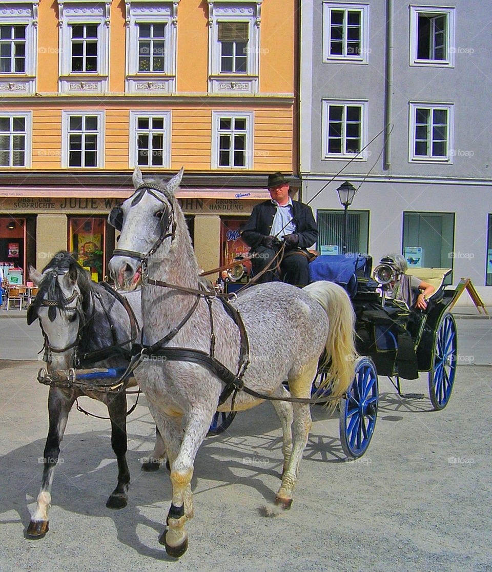 Horse and carriage