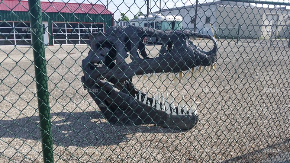 Caged Dino Head