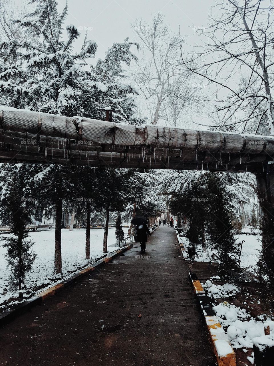 Just another crisp winter day