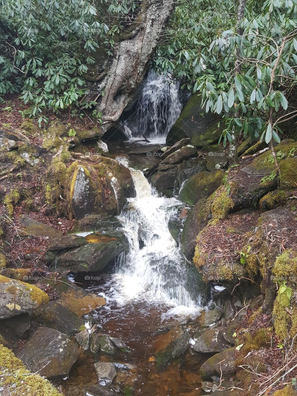 Mini waterfall on a beautiful mountainside
