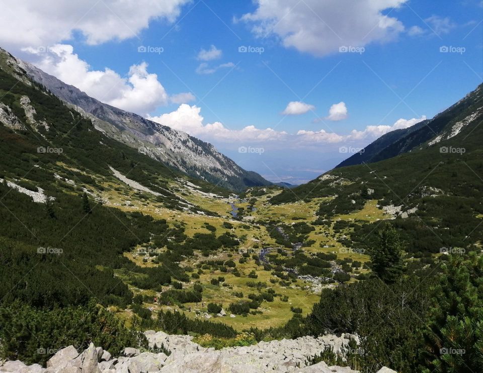 The beautiful mountains of Bulgaria, nature photography up in the Pirin mountain with stunning green trees and grass and rivers