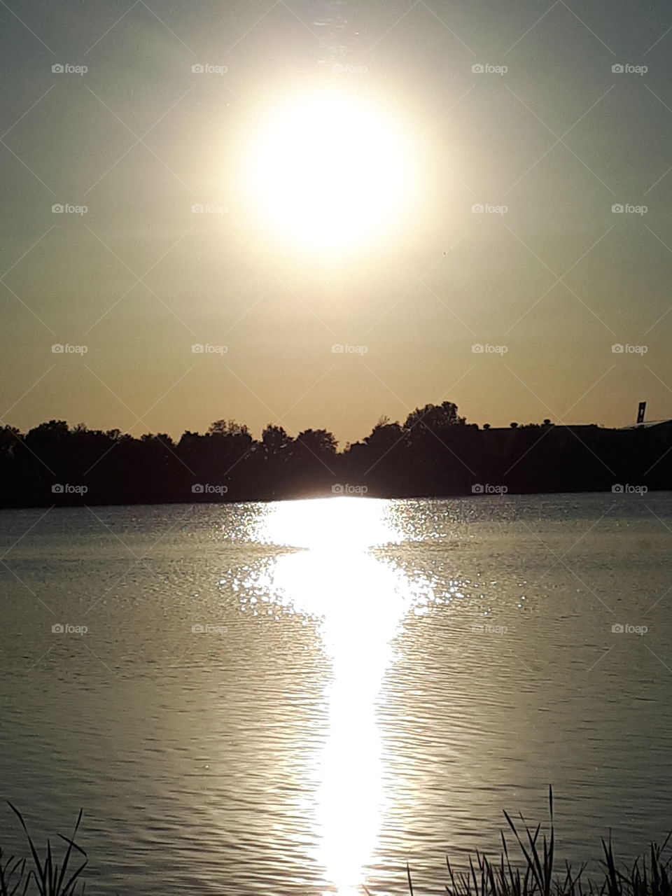 Sonne Sommer See