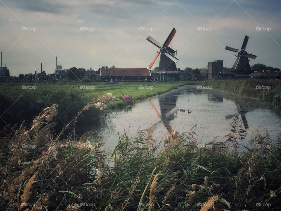 Beautiful Dutch Windmill in Zaanstad. 