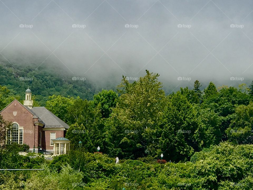 Foggy Mountaintop in Camden, Maine