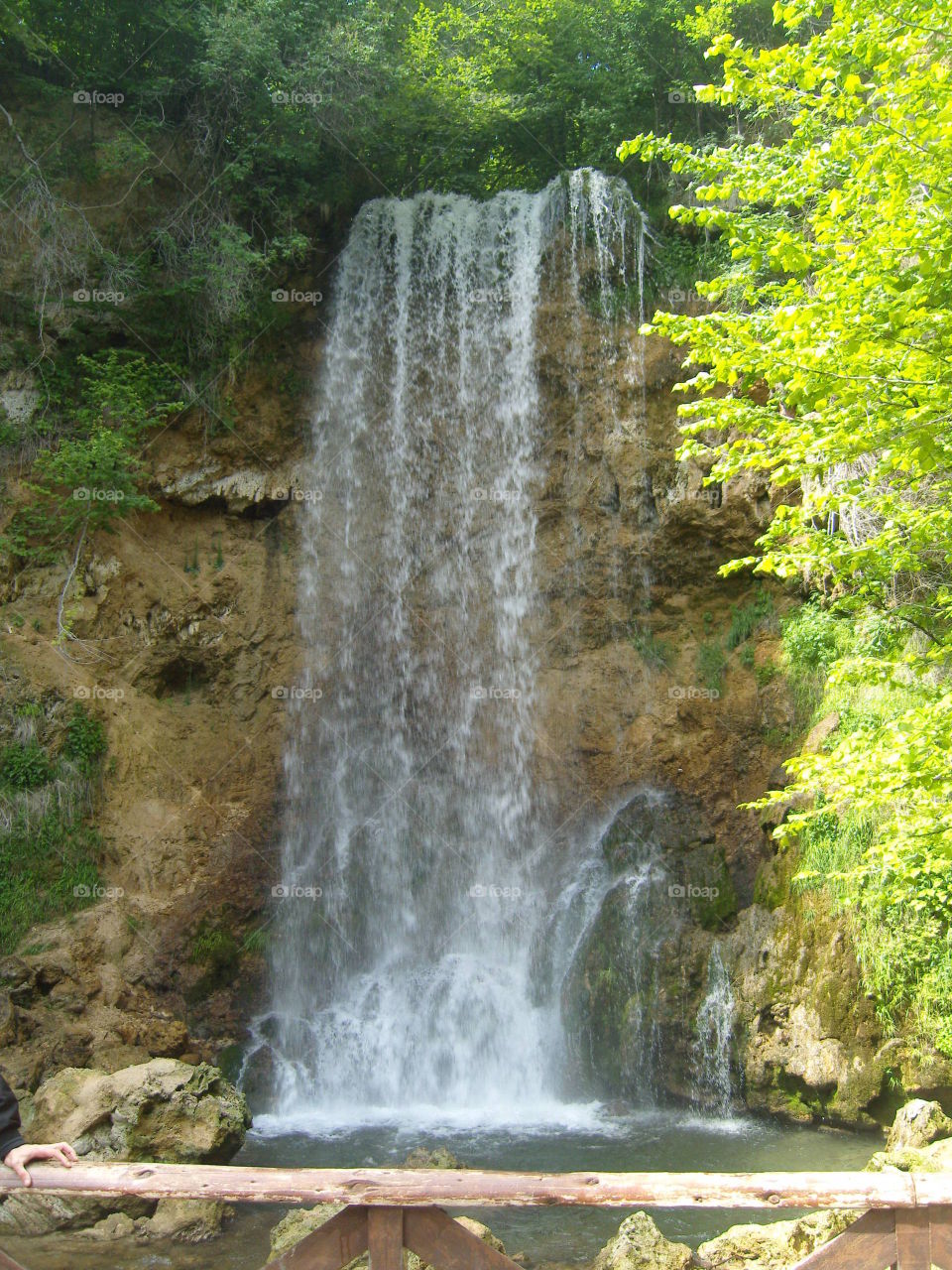 Waterfall in the forest
