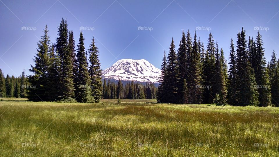 Snow-capped mountain in Mt Adams