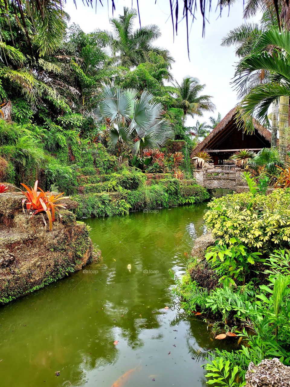 Koi Pond Relaxing garden