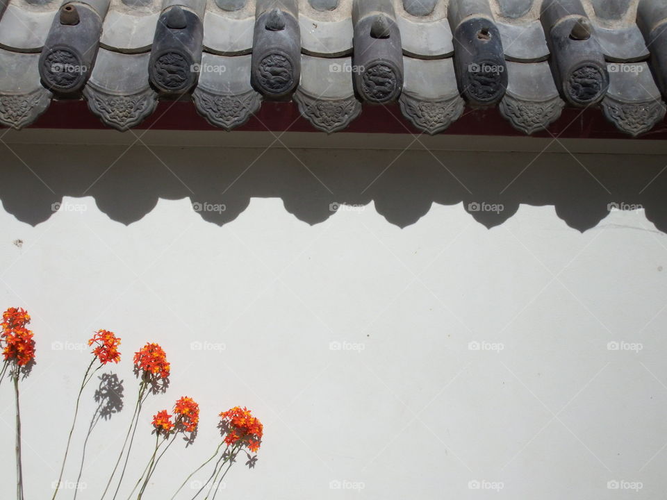 Orange flowers against plain light wall with an oriental tiled roof.