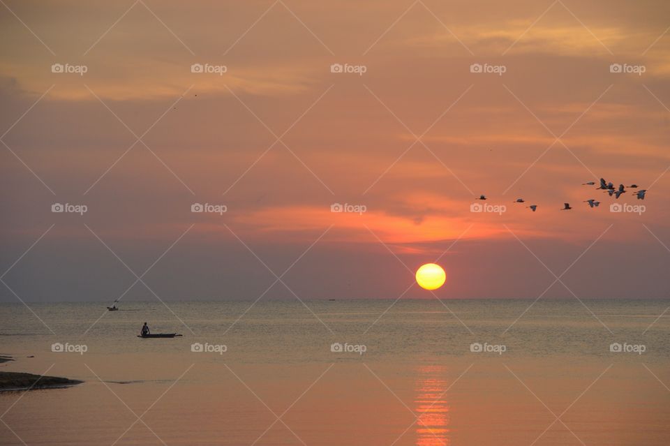Sunset with flying birds beach seaside at putatan sabah