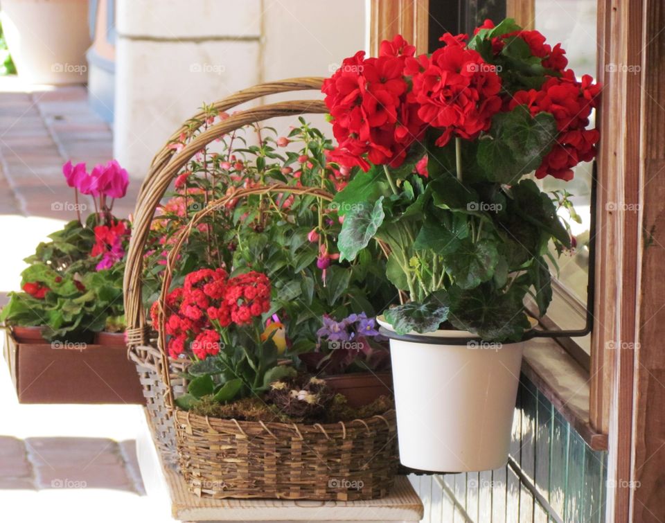 Flower Baskets