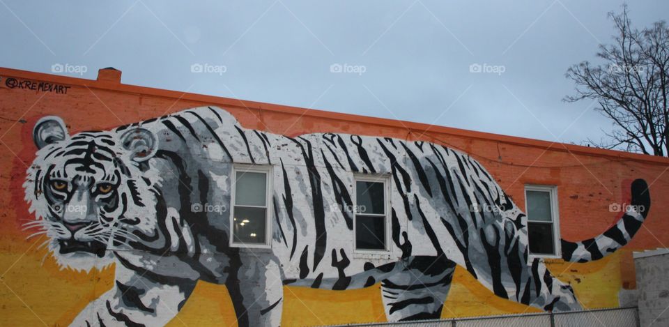 Pacing tiger painted on building with two windows