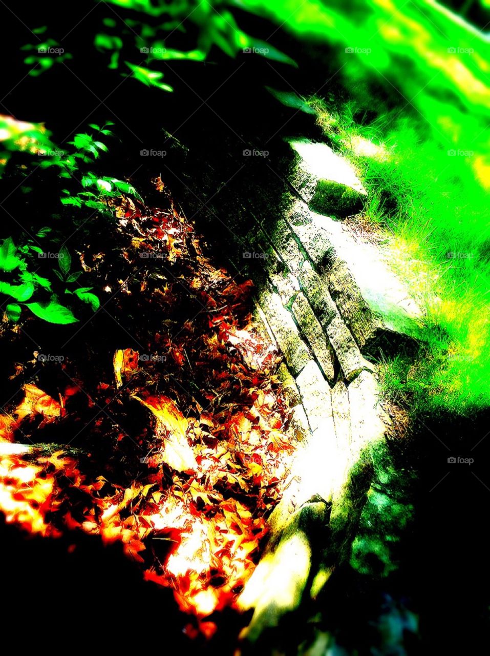 Bricks white nature. 