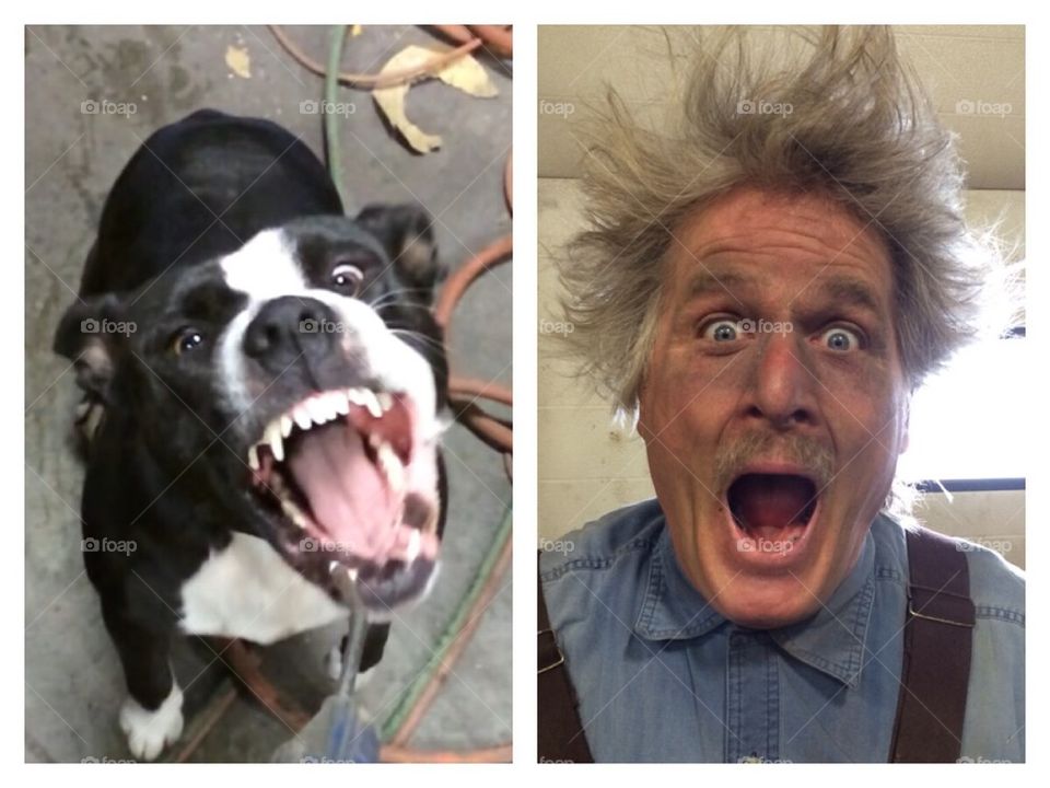 Crazy dog and owner