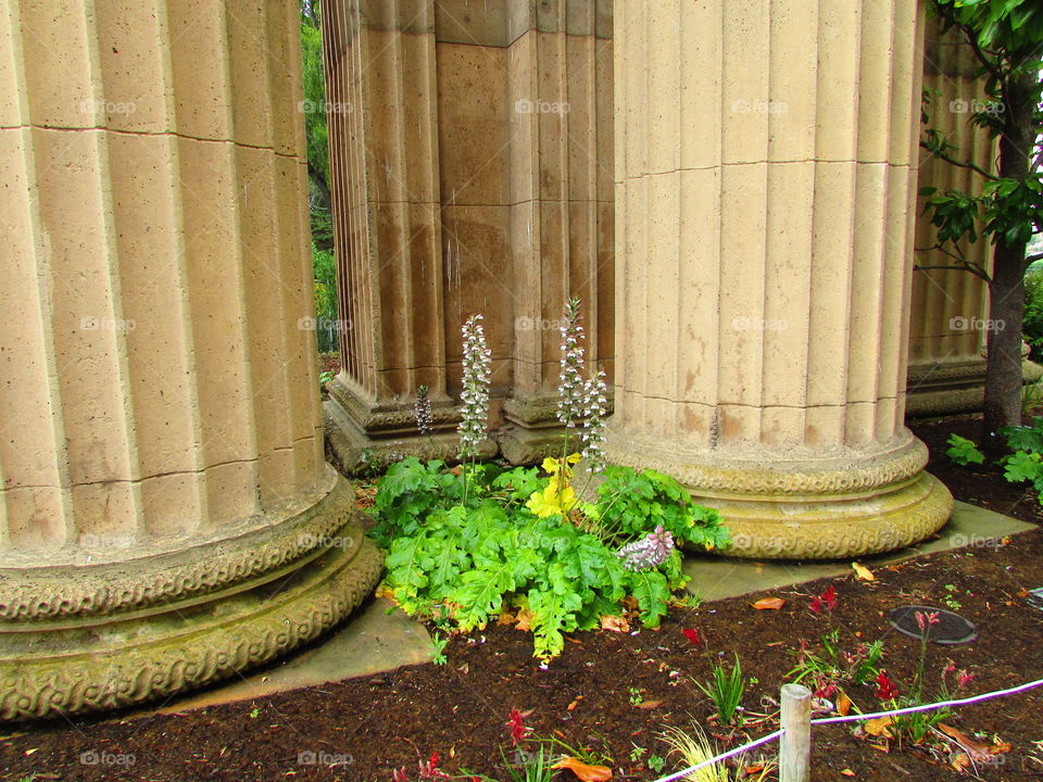 Stone carved pillars surrounded by beautiful plants and flowers