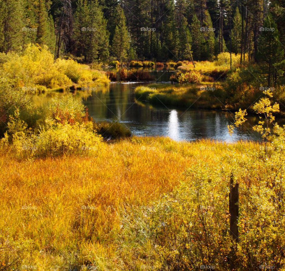 landscape nature color trees by hddatmyers