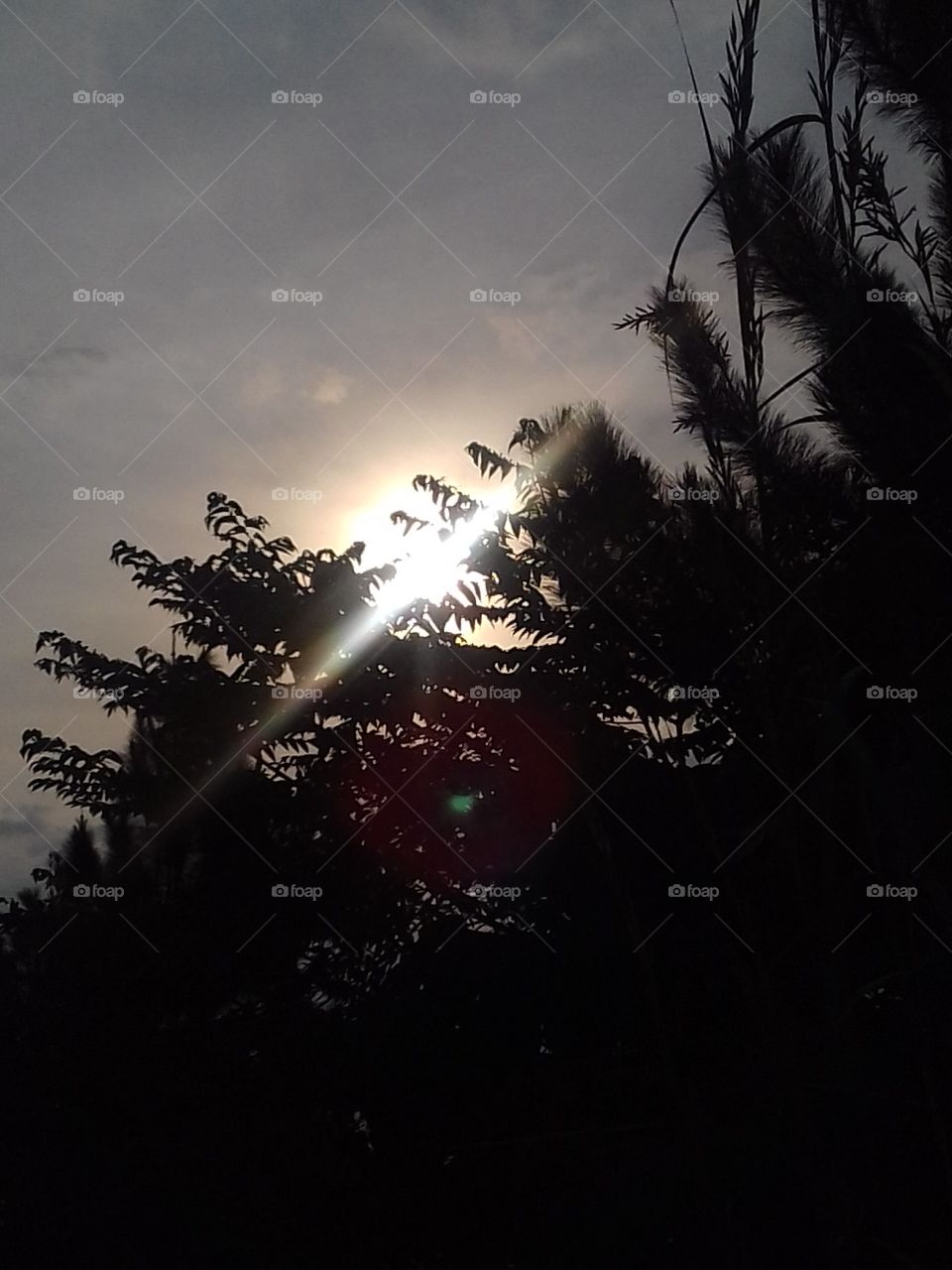 Sun Light..
Kandy Mahakande Sri Lanka..
